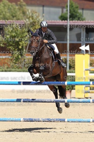 D ANTONI_D ACORADO_ECC_2011_SS3_5138.jpg